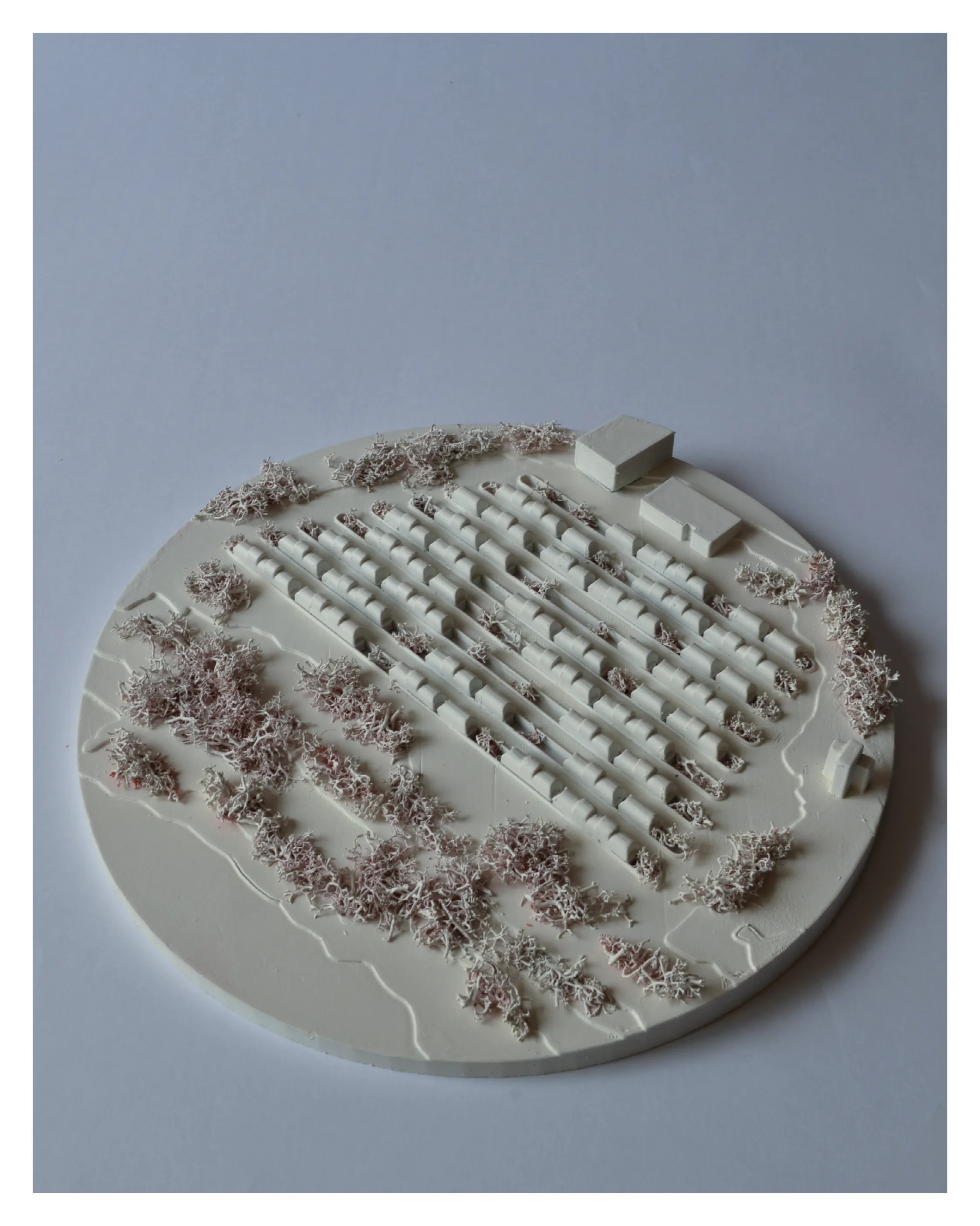 De Cuba a Ucrania — imagen 7