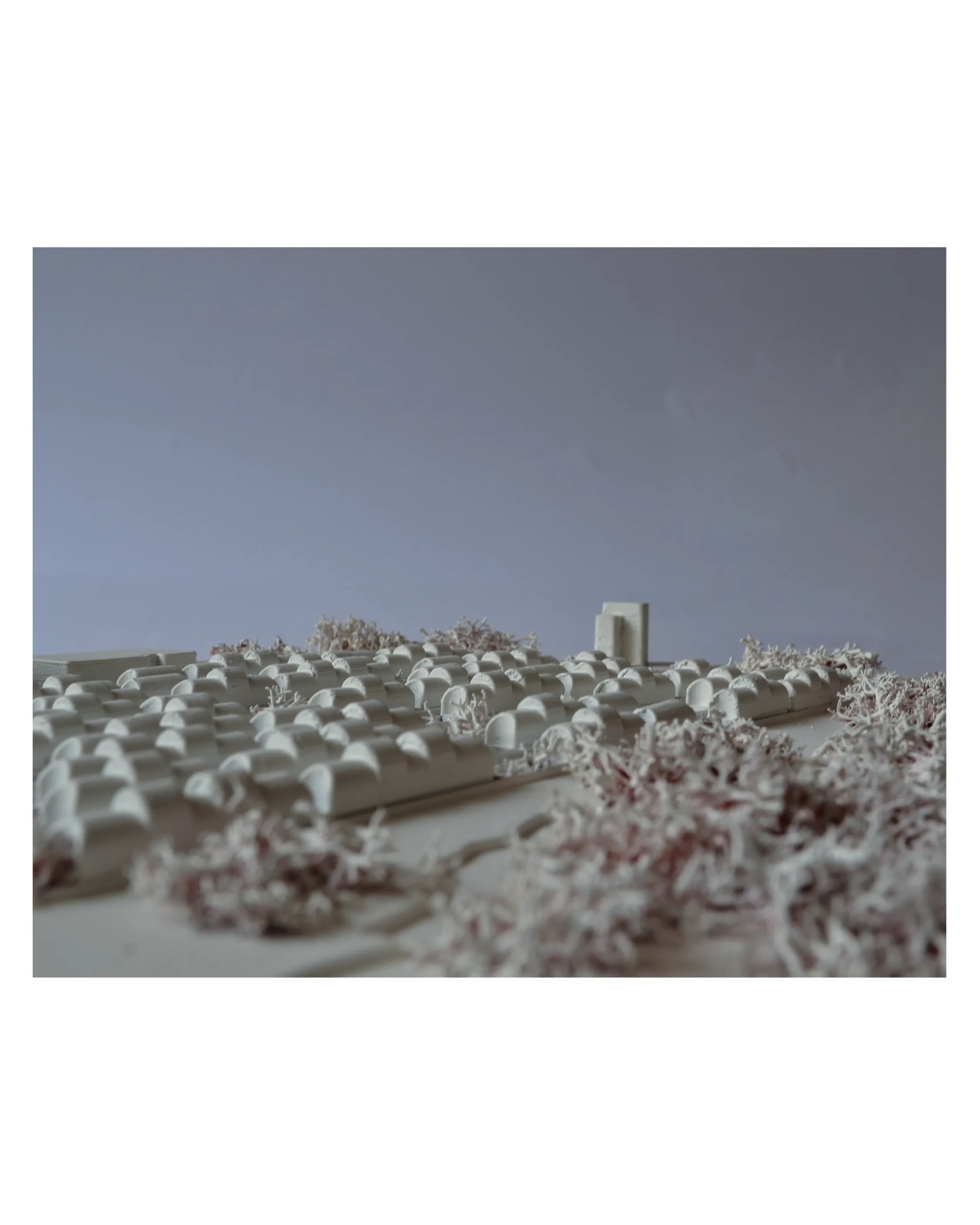 De Cuba a Ucrania — imagen 8